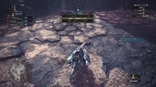 モンスターハンター：ワールド_20180908160353