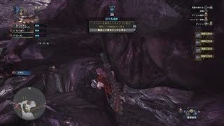 モンスターハンター：ワールド_20180906232211