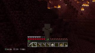 垂れ流しマインクラフト #5