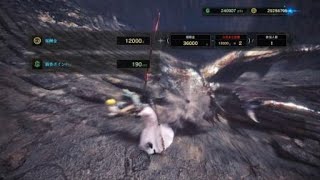 モンスターハンター：ワールド_不屈がいい