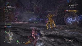 モンスターハンター：ワールド_20180919223630