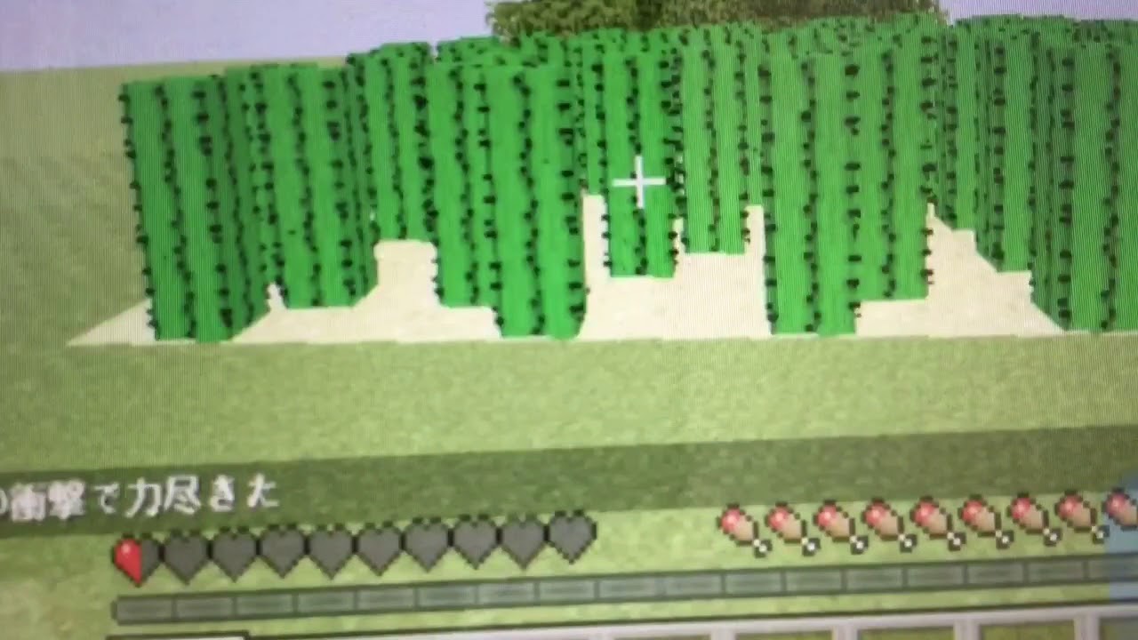 マインクラフト 山下り