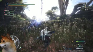 【PC版】MHW モンスターハンターワールド 歴戦周回