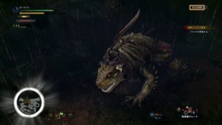 【MHW】＃５　プケプケを討伐せよ！やだなぁ～怖いなぁ～・・・【モンスターハンターワールド】