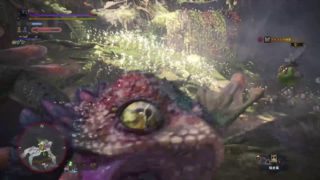 【モンスターハンターワールド】MHW　雑談　採取　お手伝い　金冠狙い。