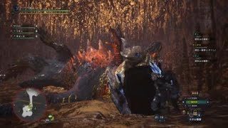 滑タロト　モンスターハンター：ワールド_20180928001622