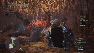 滑タロト　モンスターハンター：ワールド_20180928001622