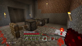 【 11 】今さら始めるマインクラフト【のんびり】