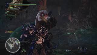 モンスターハンター：ワールド_20180920222231ウルズ