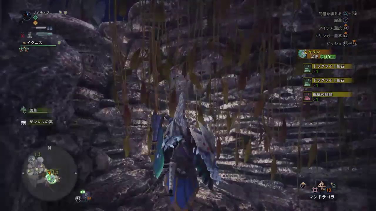 (声あり)モンスターハンターワールド