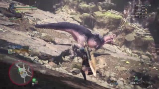 [ モンスターハンター：ワールド ] クルルヤック・プケプケ・アンジャナフ