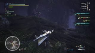 モンスターハンターワールド Monster Hunter World【PS4 Pro】プレイ動画#91