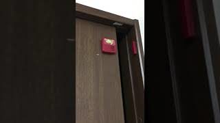 モンスターハンターワールド 一番くじ エフェクトーン