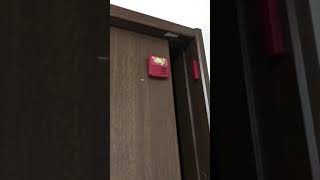 モンスターハンターワールド 一番くじ エフェクトーン