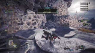 モンスターハンターワールド　119