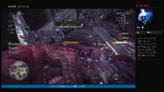 モンスターハンターワールド！　ハンター生活96日目　調査クエ周回