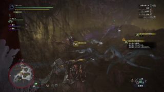 モンスターハンターワールド　55