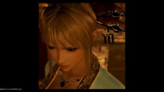 秋の夜長に女性フォト　真三國無双8