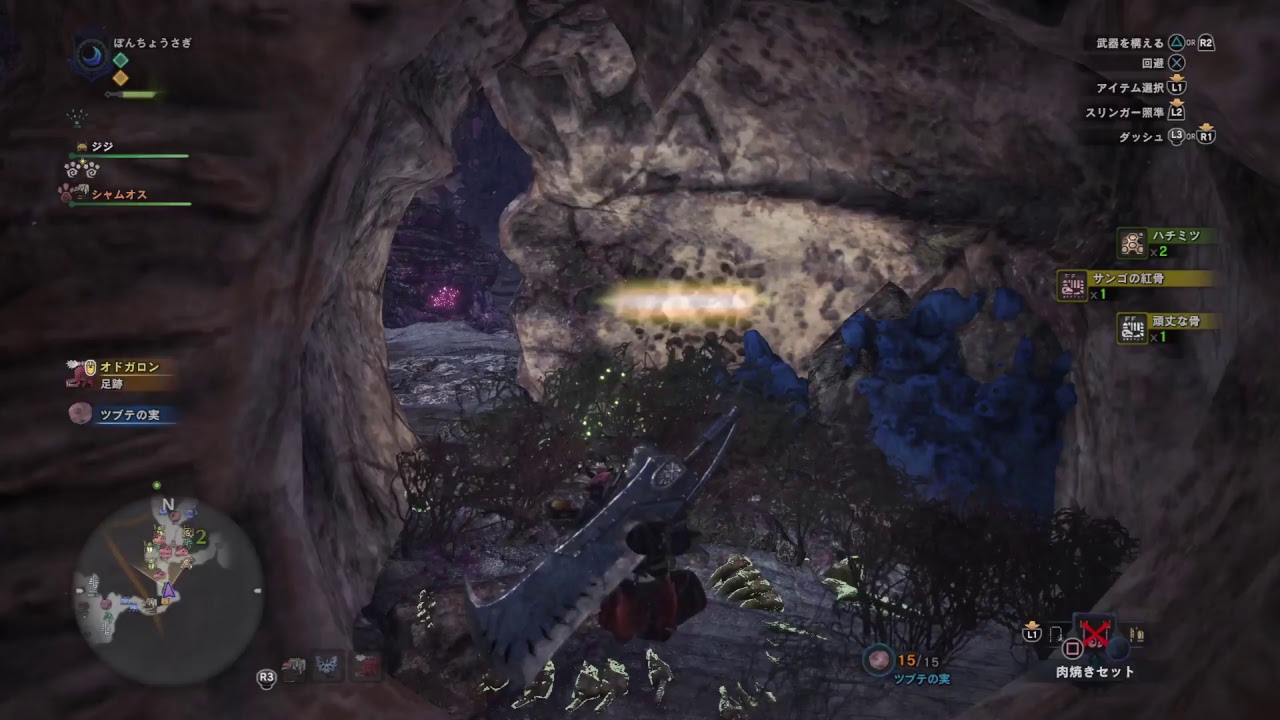 (1080p60HD)高画質！モンスターハンター：ワールド#24