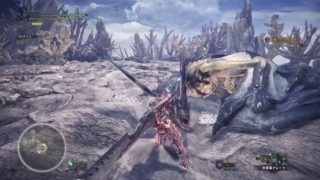 モンスターハンターワールド　29