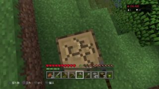 [マインクラフト]まつがきた！マルチ編