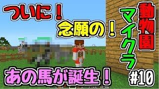 【ゆっくり実況】【マインクラフト】【動物MOD】今回ついにあの馬が産まれます！！　#10【ぽんこつちゃんねる】