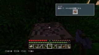 フレンドとマインクラフト
