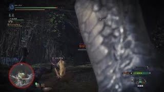 モンスターハンター：ワールド_20180923011205