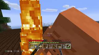 PS4版マインクラフト「ろっさんのワイルドな生活」 #5