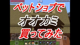 【マインクラフト】【akiチャンネル】ペットショップでオオカミ買ってみた。