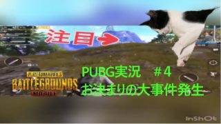 PUBG実況　#4　ラストがお決まりすぎるwww
