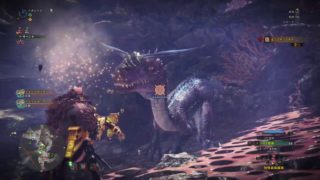 モンスターハンターワールド　ツィツィヤック最大金冠　海台のワルツ