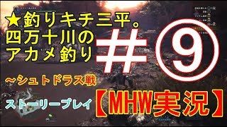 #9【PS4】Monster Hunter: Worldモンスターハンターワールド【MHW】実況プレイ