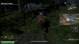 真・三國無双8　初見　垂れ流し17