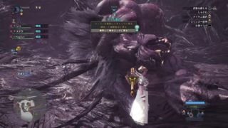 勝てたら寝ます野良ベヒーモス(^○^)！モンスターハンターワールドMHWモンハンワールド