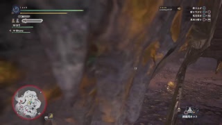 モンスターハンターワールド　[アステラ]　脳筋ハンター 　Jが生配信