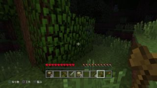 マインクラフト　まーみりぃでサバイバル生活　＃１