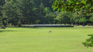 ７ Days to Die　リアルマインクラフト