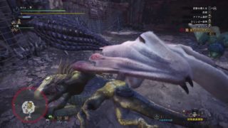 モンスターハンター：ワールド 食という欲の扉を開け！