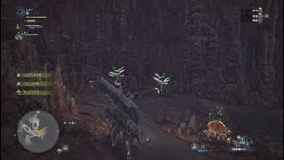 モンスターハンター：ワールド_20180930065448