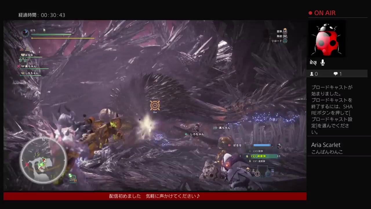 【モンスターハンターワールド】MHW#18　お手伝い