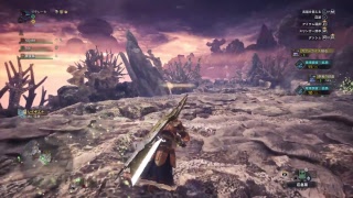 モンスターハンターワールド　81