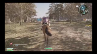 初見プレイ 真・三國無双