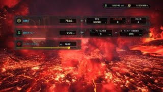 モンスターハンターワールド MHW 極ベヒーモス 賊ヘビィ２０回目 チャアク×4早すぎ