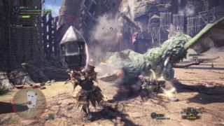 モンスターハンター：ワールド　プケプケペア