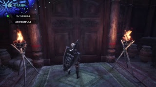 モンスターハンターワールド　04