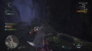 モンスターハンターワールド　42