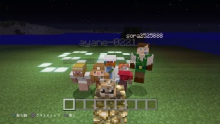 [マインクラフト] ひよっこクラフターの漂流記#31 [9のゲーム実況]