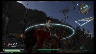 真・三國無双８_20180916181227