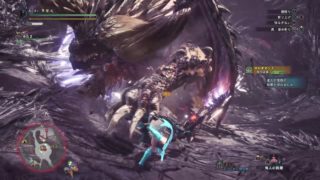 モンスターハンター：ワールド_20180922014237